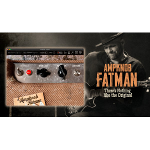 Bogren Digital Ampknob Fatman